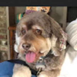 Meet your Posher, Robin